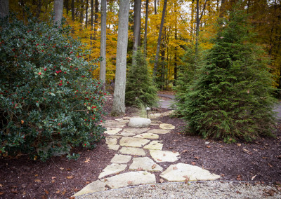 stone pathway