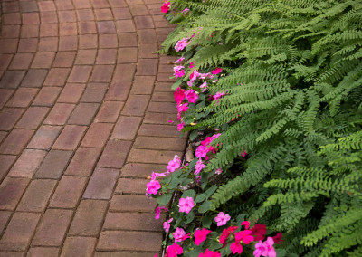 paver pathway with landscape planting