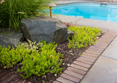 close up of landscaping and boulders around pool surround