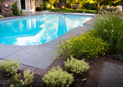 pool surrounded by stamped concrete and pavers