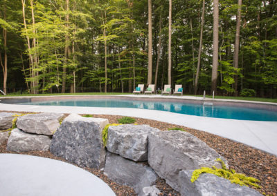 freeform swimming pool landscape design