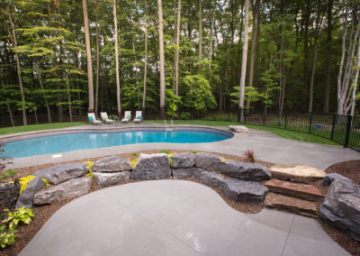 freeform swimming pool landscape design